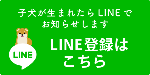 LINE登録はこちら