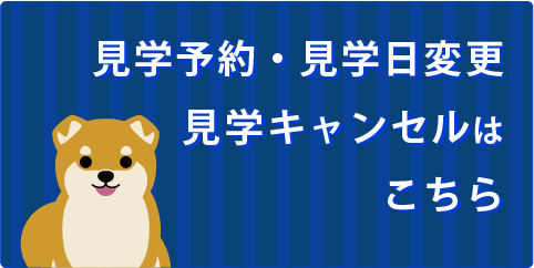 豆柴見学のご予約はこちら