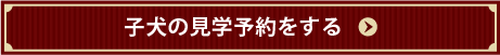 この子犬を見学予約する