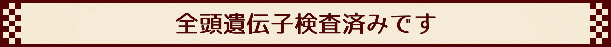 全頭遺伝子検査済みです