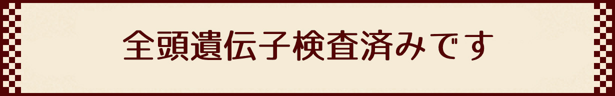 全頭遺伝子検査済みです